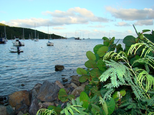 Coral Bay